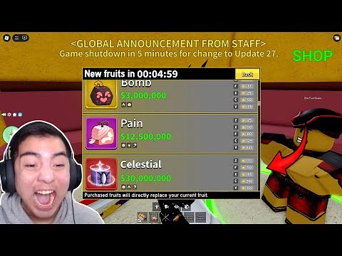 FINALLY.. Blox Fruits Rework UPDATE 27!