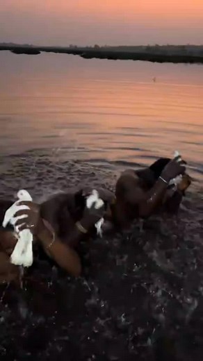 +233533022272 +233533022272Nice to meet chief Mallam Zaaki I am in Ghana  what do you want me to help you in your life | Mallam Osman | Facebook