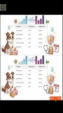 Top 10 Most Expensive Pet Health Problems in 2026 (Dogs & Cats)