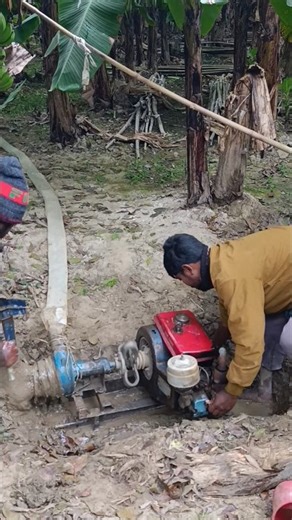 Manually Start mashing for onion irrigation #irrigation #coldweather