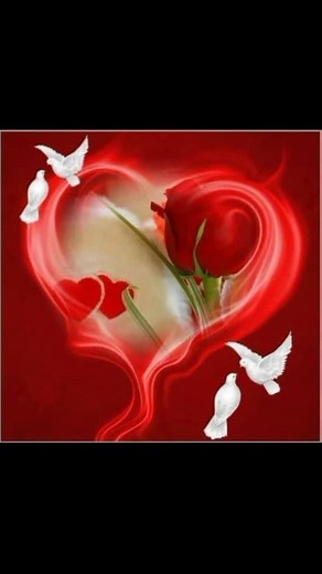 nimca muuse on TikTok