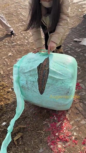 Forage Unpacking: Cow and Sheep Feeding with Pellet Machines