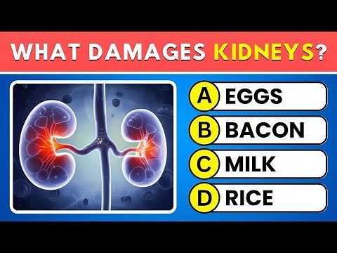 Can You Pass This Human Body Quiz? 🧠 30-Question Anatomy Trivia!