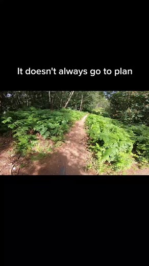 little crash from hindhead #enduromtb #enduro #downhill #mtb #transitionbikes #hindhead #fyp #xyzbca #sentinel #downhillmtb #crash