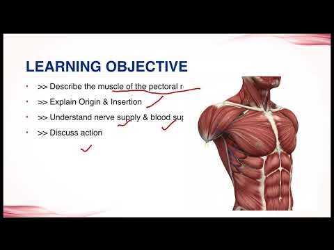 Pectoral Muscles: Nerve Supply & Blood Supply Explained | Anatomy by Dr. Shravan