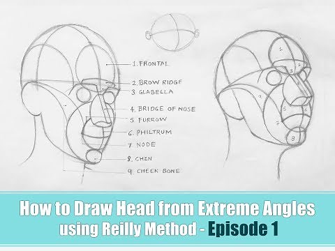 How to draw head using Reilly method - Episode 1