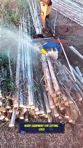 heavy equipment for cutting logs #shorts