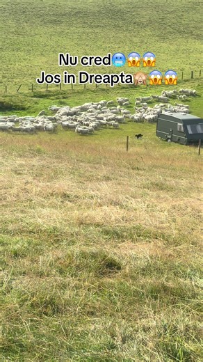 #campinglife #nature #freedom