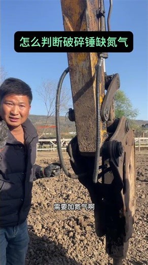 Those who can't tell the difference between import and export pipelines are not experts at