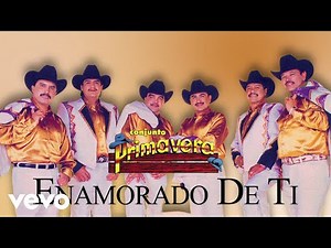 Conjunto Primavera - Enamorado De Ti (Visualizer)