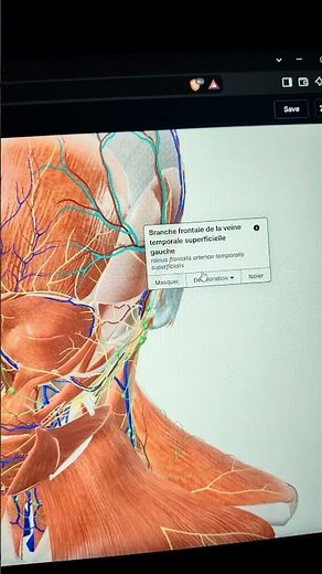 Study Anatomy in 3D and Explore Every Organ #Anatomy #Medicine #Biology