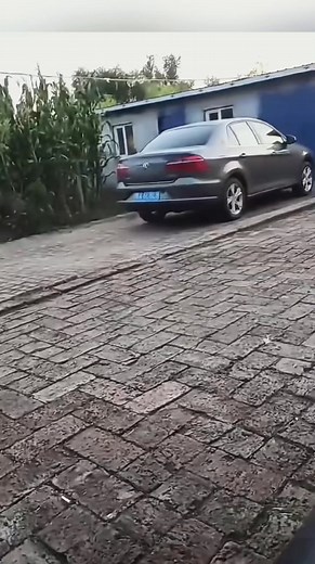 Száguldozó kutyák, és hatalmas bukások 🙂 #funny #animals #funny #vicces #dog #pets #kutya | Biczó Sándor