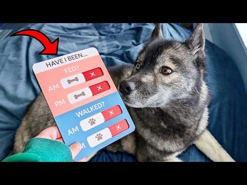 How to Track Dog Feeding and Walking: Magnetic Slider Review