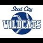 Steel City Wildcats | Pittsburgh, PA 15215-2018 | Youth Select & Showcase Travel Sports Teams