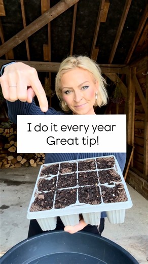 Anya Lautenbach on Instagram: "Planting alliums in treys in autumn and adding them to pots in spring and summer is a brilliant idea. Much cheaper than buying them potted up next year. More tips like this and step-by-step how to create planters like this is in my third books, The Money-Saving Gardener Containers. Link in my bio."