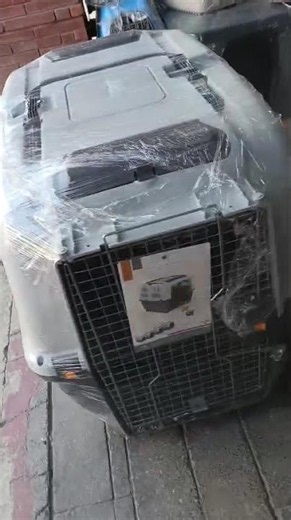 JET BOX Italy Premium Dog Travel Carrier | Best Travel Box For Large Dogs 🐶✈️