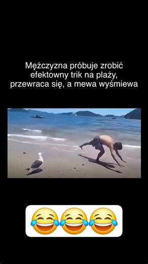 Mewa straszy i wyśmiewa mężczyzne... #humor #śmieszne #zabawne #fyp #dc #viral #shorts #funny #pl