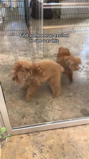 timtiah. (@iamtimtiah)’s videos with original sound - timtiah.