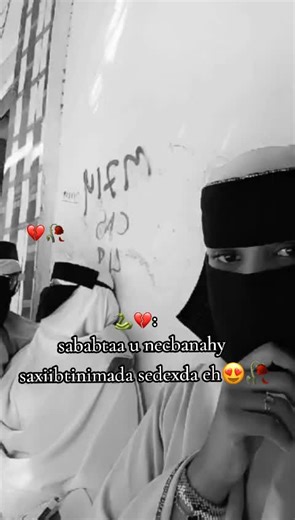 Saxiibtinimada Sedexda Eh - Khayaali iyo Dhibaatooyinka