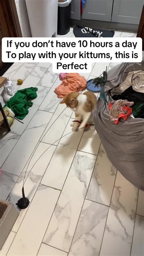 Orange Brothers on TikTok