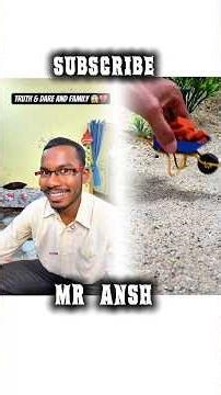 build a mini home 🏡🏠🌲#shorts #shortsfeed #trendingshorts