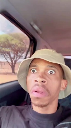 A Surreal Take on a Netflix Documentary