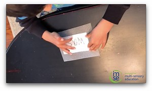 🛑🤚🚦 Do not sound out that red word! | IMSE: Institute for Multi-Sensory Education