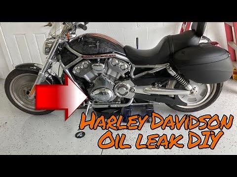 MY HARLEY DAVIDSON IS LEAKING OIL 2004 Harley Davidson Vrod Leaking Oil From The Stator DIY fix.