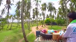 370 reactions · 26 shares | Coming soon! | Lost LeBlanc | Facebook