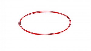 Animation Hand Drawing Oval Frame Irregular Stock Footage Video (100% Royalty-free) 3630844999 | Shutterstock