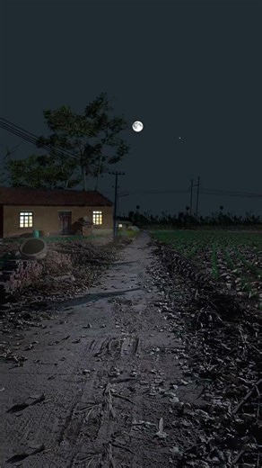 Village Moonlight Night #sound