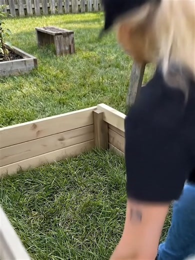 Homemade Yellow Bell Pepper Garden
