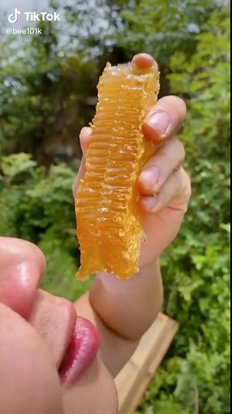 The bees came and grabbed me#foryou #fyp #satisfying #honeybee #asmr #eating #food