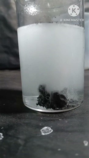 Acid Metal Reaction | Chemistry | #Short #YoutubeScience #Science
