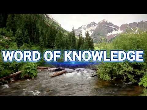 DAILY PROPHETIC UTTERANCE "NEVER LOSE HOPE" PASTOR ROBERT CLANCY