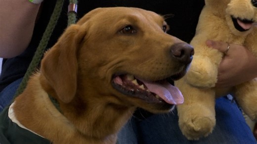 Michigan State University’s ‘Zeke the WonderDog’ dies