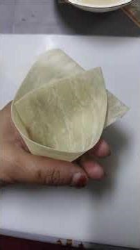 Spring Rolln 🥚Samosa