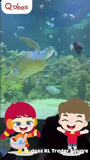 Learning Beyond the Classroom