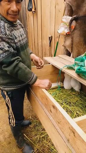 Interacting with a Guinea Pig in an Outdoor Setting