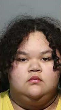 Isabelle Valdez and Lois Lippert: The Case Timeline So Far