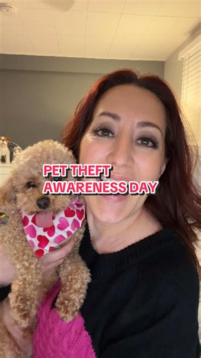 Protect Your Pet: Pet Theft Awareness Day Tips