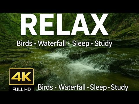 ASMR"Natural Forest sound 🌊 | Relaxing sound for Sleep, Study & Mind Relaxation"