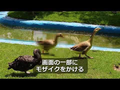 Lesson 16 映像の一部にモザイクをかける方法のサンプル動画