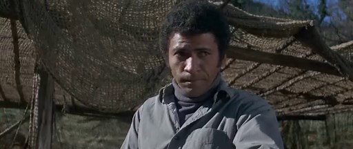 Battle for the Planet of the Apes 1973