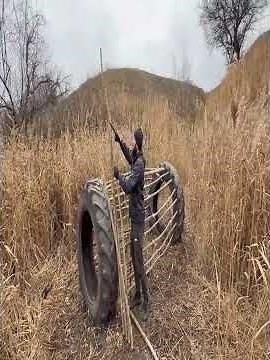 Building a Survival Shelter from Wheels & Reeds Creative Bushcraft Skills in the Wild #shorts #3