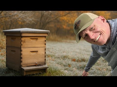 Quick but Critical: Final Hive Inspection Before the Cold Hits