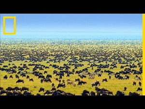 Ecosystèmes et activités humaines - 5ème