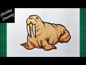 How to Draw a Walrus
