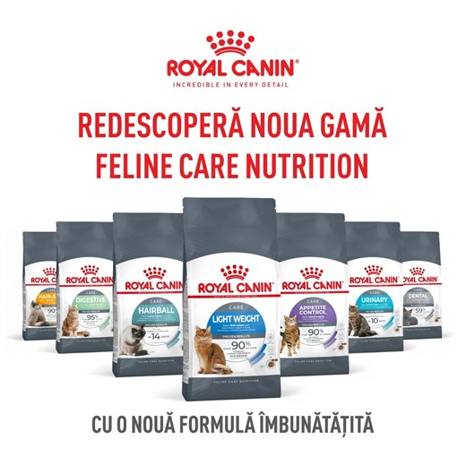 26K views · 35 reactions | Pisica este o ființă enigmatică, prin urmare nu este întotdeauna ușor să îți dai seama și să îi observi sensibilitățile. Dar, dacă îi oferi o atenție sporită, acestea nu scapă nedetectate. ‍⬛ Redescoperă noua gamă cu o formulă îmbunătățită - FELINE CARE NUTRITION, și alege produsul potrivit pentru a-ți menține companionul fericit și sănătos. Tu cum ai grijă de pisica ta?  | Royal Canin | Facebook