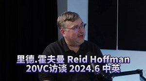 【精校】Reid Hoffman六月播客访谈 @20VC 2024.6.22 【中英】